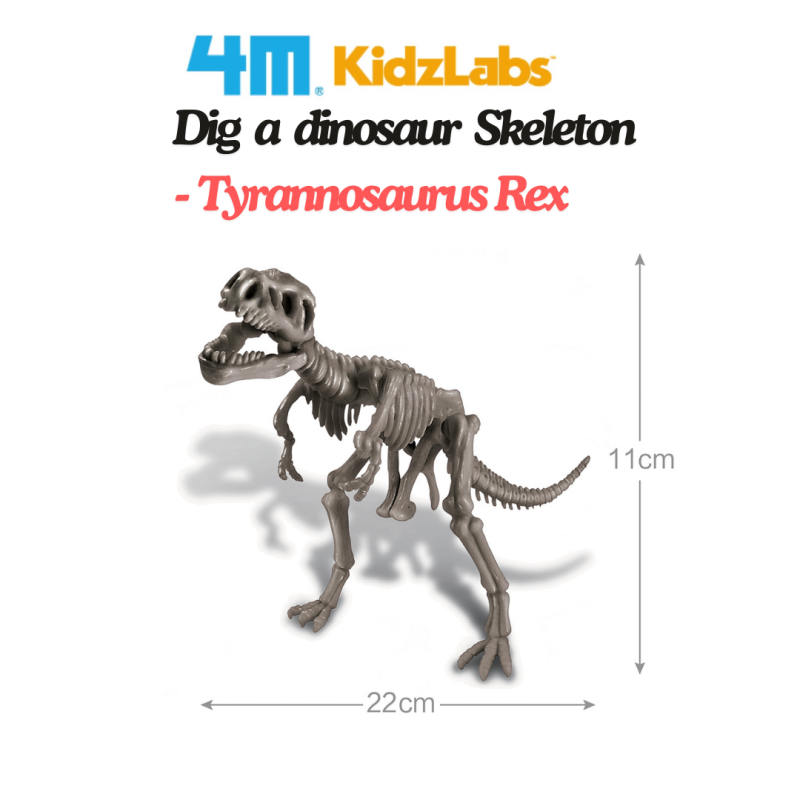 4_931400058